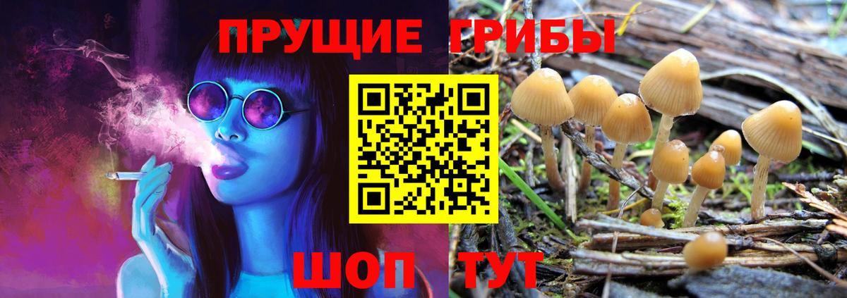 магазин    Псилоцибиновые грибы мицелий  Вход с VPN  Великий Новгород 