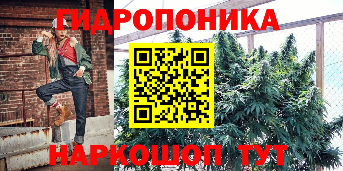 Бошки марихуана LSD WEED Великий Новгород